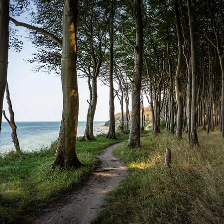 Luxusferienwohnung Seebrise***** Binz